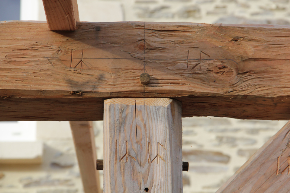 Assemblage de structure de pergola